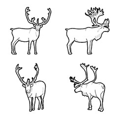 Caribou Vector Illustration Hand Drawn Animal Cartoon Art