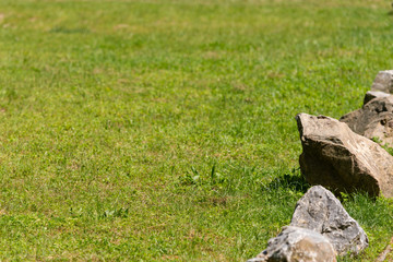 Lawn and rocks on the edge
