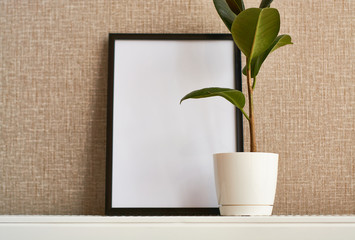 Green houseplant in pot and white empty canvas for inscription in black frame.