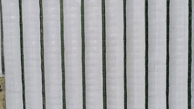 AERIAL DRONE CLOSE TOP-DOWN SHOT OF GREENHOUSE INDUSTRIAL AGRICULTURE 