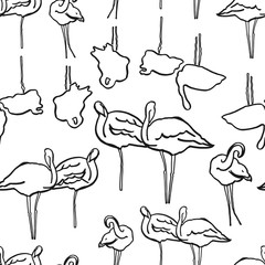 Doodle simple outline flamingo summer pattern. Hand drawn flamingo bird with reflection on white background. Elegant simple summer backdrop.
