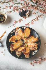 Served dish of fried japanese gyoza dumplings with soy sauce on light table