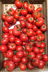 pomodori frutta verdura