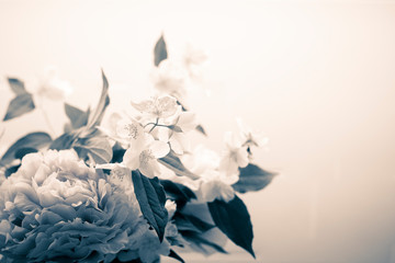 Spring flowers background in vintage black and white filter, with peony (paeonia) and mock-orange (philadelphus). Bw filter retro bouquet close up wallpaper with copy space on right side.