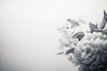 Spring flowers background in  black and white, with peony (paeonia) and mock-orange (philadelphus). Bw bouquet close up wallpaper with copy space on left side.