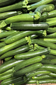zucchine verdura ortaggi 
