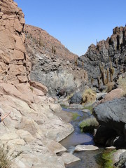 Viagem ao Deserto do Atacama