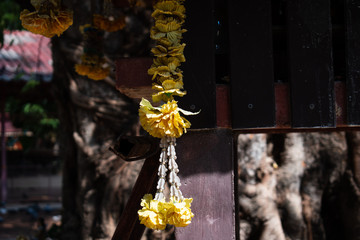 golden buddha flower in the temple close up