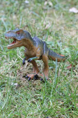T REX Dinosaurs model on grass background