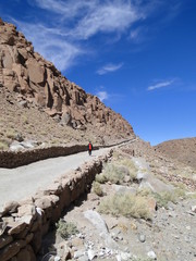 Paisagem, Deserto do Atacama, Chile