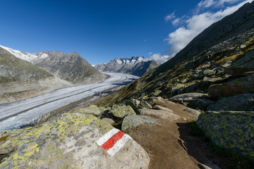 Glacier Aletsch (Aletschgletscher) area