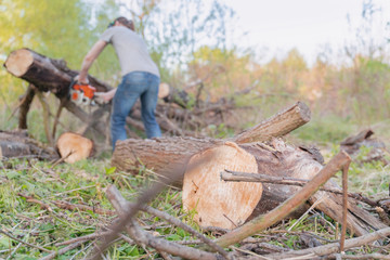 farmer sawing a tree with a chainsaw, selective focus, focus on the foreground, blurry background