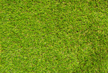 Obraz premium Top view of green grass field.