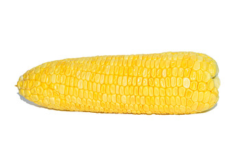 corn on the cob