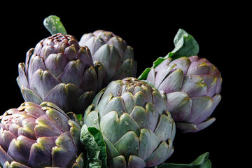 Obraz premium artichokes, carciofi,