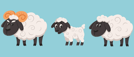 Sheep family in cartoon style. Farm animals of different sex and age.