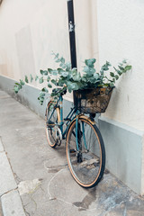 Fototapeta na wymiar Fahrrad mit Eukalyptus im Korb