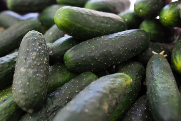 cucumbers on market counter in wicker basket