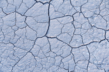 cracks. dry land