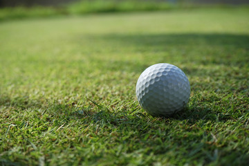 Golf ball is on a green lawn in a beautiful golf course