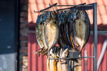 Dried smoked spiced mackerel fresh fish in a fish market