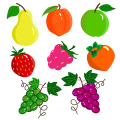 Set of different fresh fruits. A set for a logo or an icon. Vector illustration on a white background. 