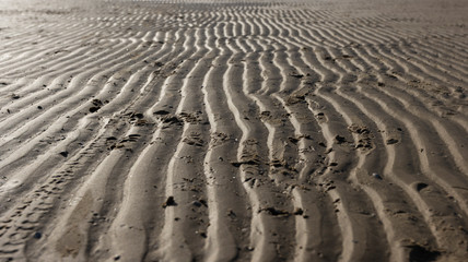 Nahaufnahme vom Strand Swinemünde an der Ostsee