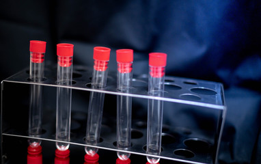 Rows of laboratory test tubes  use for experiment scientist. For the science room and laboratory room.