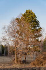 Spring, Russia, Russian village, fields and forest