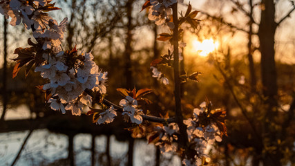 Beautiful sunset with reflections near Niederpöring, Isar, Bavaria, Germany