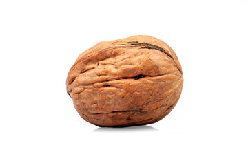 Organic Walnut isolated on a white background.