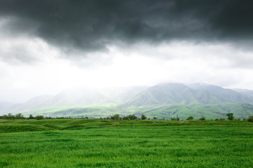 Landscape summer and spring. Bright green grass on the round hills. Clouds before the rain. Clouds...