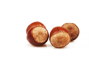 Organic and fresh four shelled hazelnuts on white background