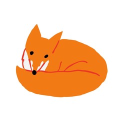 Cute red fox curl up isolated on white background. Adorable wild animal. Flat hand drawn style. Fun design for print. Stock vector illustration.
