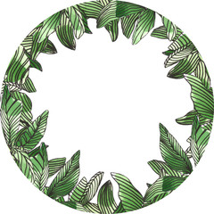 Tropical green succulent round frame. Abstract flowers and desert plants with lines. Isolated on white background, line art. Monochrome.