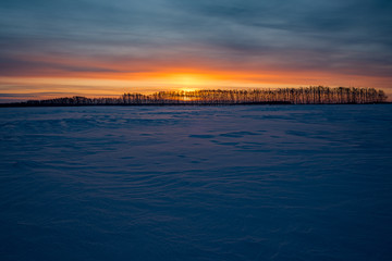 Winter. Sunset. Field. Snow.