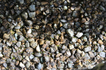 Weathered concrete garden block exposes pebbles