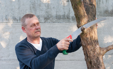 Portrait of middle aged european man with mustache cuts branch with garden saw on backyard background in sunny spring day