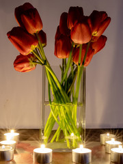 red tulips in a vase by candlelight, interesting reflections and shadows