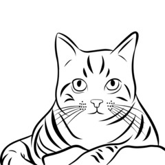 Cute Cat Line art vector design, black and white