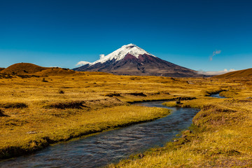 Fototapeta premium Stream and Cotopaxi