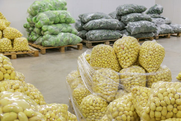 Pallets of vegetable in warehouse