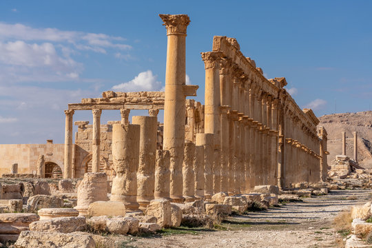 Roman Ruins in Palmyra, Syria