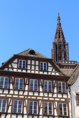 Fototapeta na wymiar Catedral de Estrasburgo