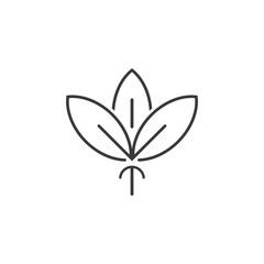 Beauty Cotton flower vector , Simple  icon Cotton flower template symbol nature