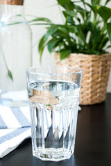 Fresh concept for hot summer. A glass of water and a bottle of water, green plant in a pot on the table on the background. Beautiful fresh background.