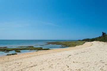 Fototapeta na wymiar エメラルドグリーンの海と白い砂浜に遠浅の海岸