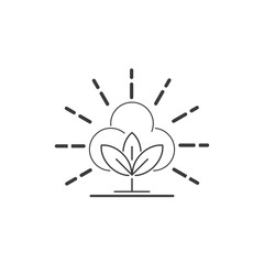 Beauty Cotton flower vector , Simple  icon Cotton flower template symbol nature