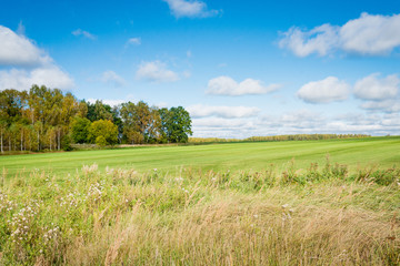 field, autumn in the suburbs