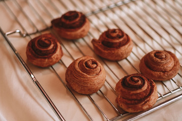 chocolate chip cookies on a plate